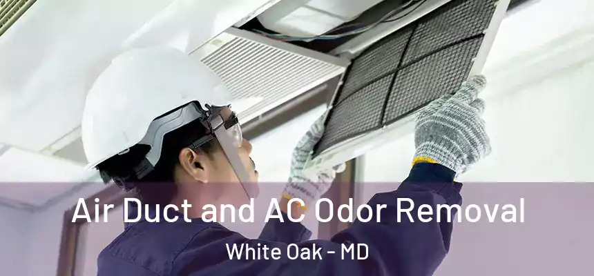  Air Duct and AC Odor Removal White Oak - MD