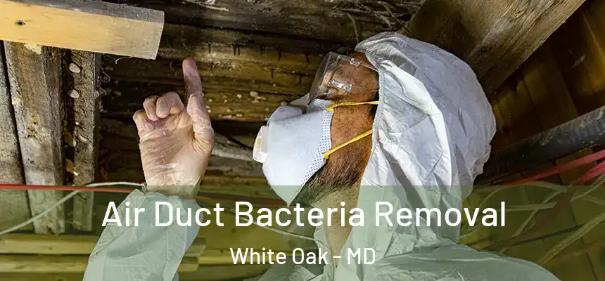  Air Duct Bacteria Removal White Oak - MD