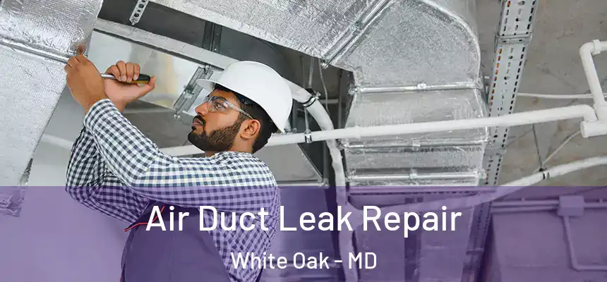 Air Duct Leak Repair White Oak - MD