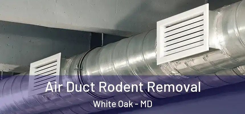 Air Duct Rodent Removal White Oak - MD