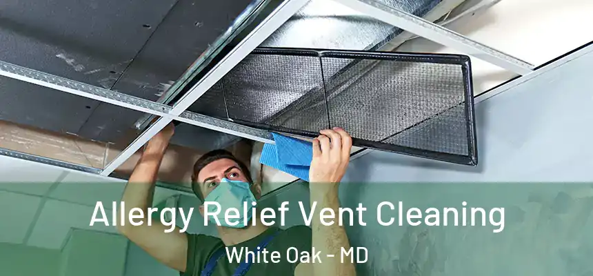  Allergy Relief Vent Cleaning White Oak - MD