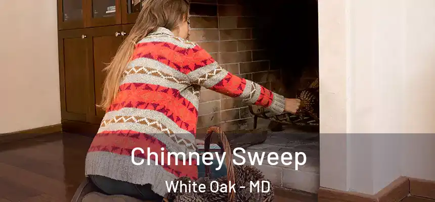  Chimney Sweep White Oak - MD