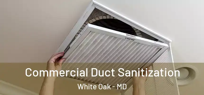  Commercial Duct Sanitization White Oak - MD