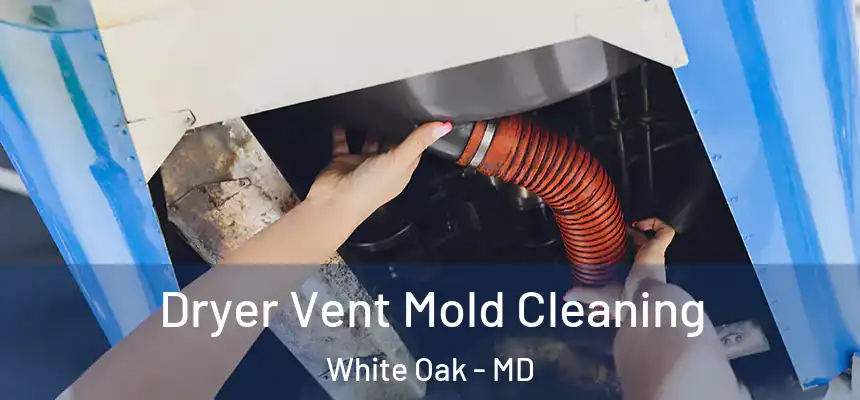  Dryer Vent Mold Cleaning White Oak - MD