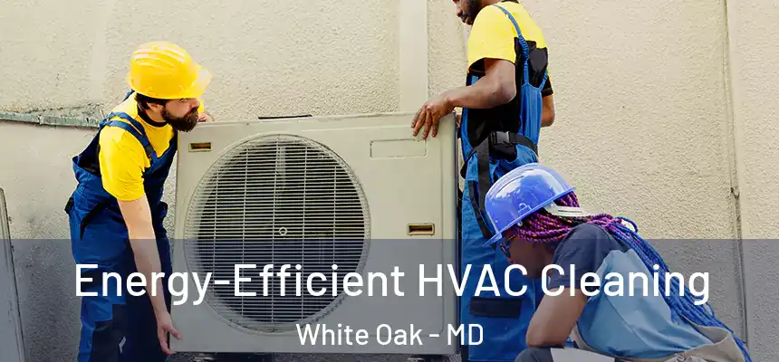  Energy-Efficient HVAC Cleaning White Oak - MD