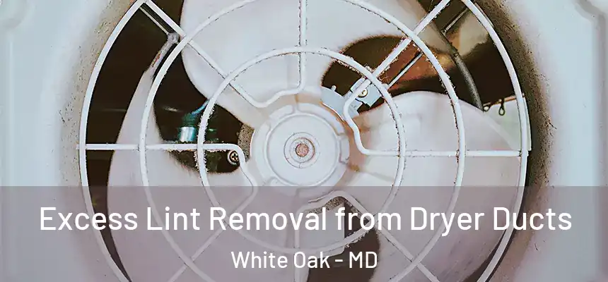  Excess Lint Removal from Dryer Ducts White Oak - MD