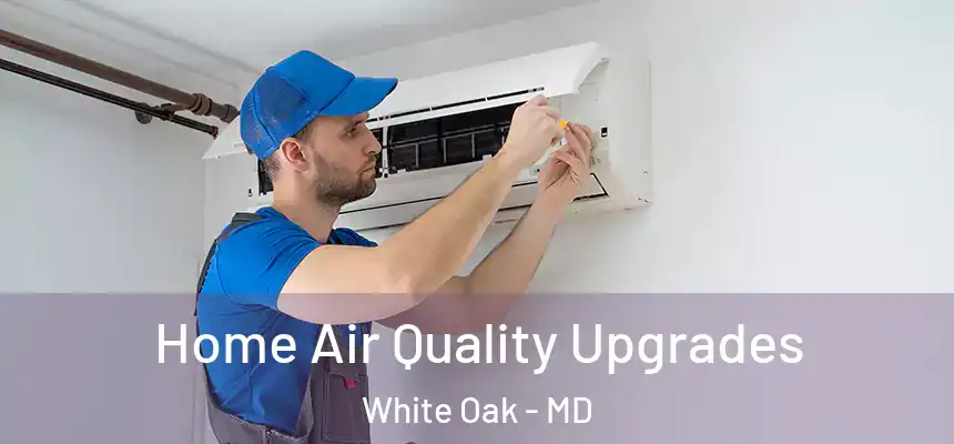  Home Air Quality Upgrades White Oak - MD