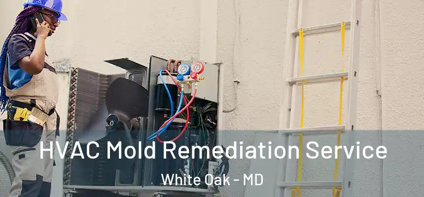  HVAC Mold Remediation Service White Oak - MD