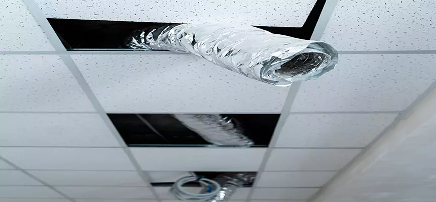 Affordable HVAC Sanitizing After Pest Removal in White Oak