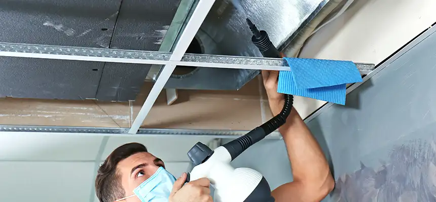 Our Air Duct Rodent Removal Services in White Oak, MD