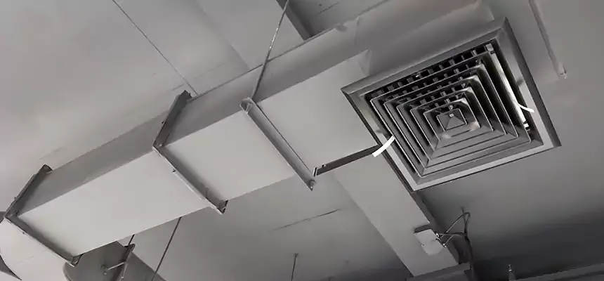 Restorative Allergy Relief Vent Cleaning – Coil, Blower & Housing Detail in White Oak