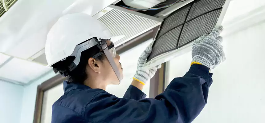 Our Mold & Mildew Removal from Air Ducts Services in White Oak, MD