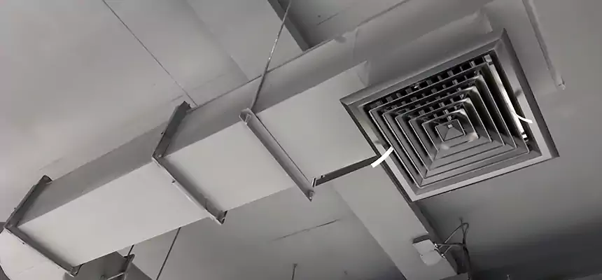 Our Pest Removal From Ducts Services in White Oak, MD