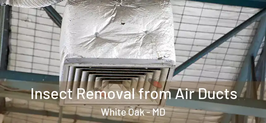  Insect Removal from Air Ducts White Oak - MD