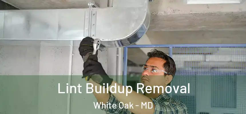  Lint Buildup Removal White Oak - MD
