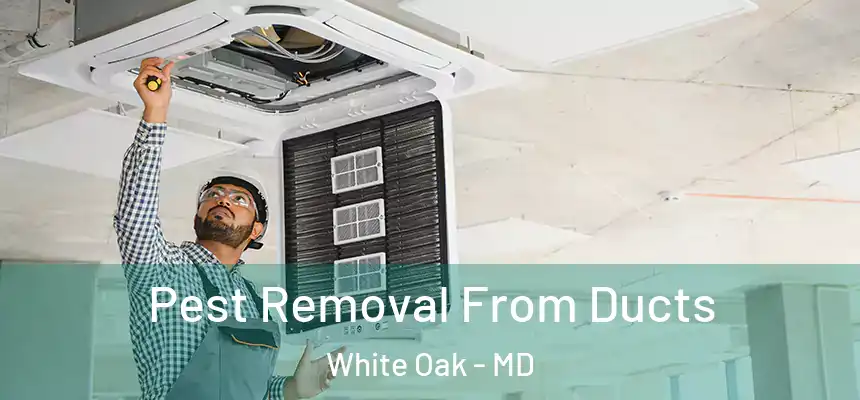  Pest Removal From Ducts White Oak - MD