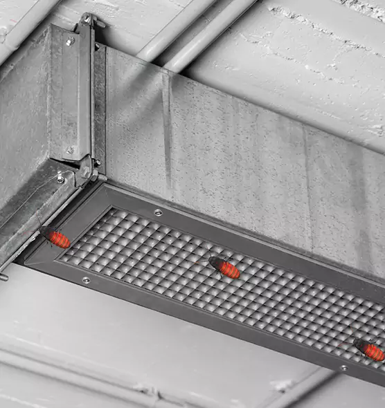 About Air Duct Cockroach Removal in White Oak, MD