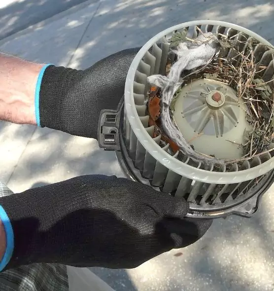 About Air Duct Mice Removal in White Oak, MD