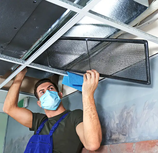 Why Homeowners & Businesses Trust Us in White Oak, MD?