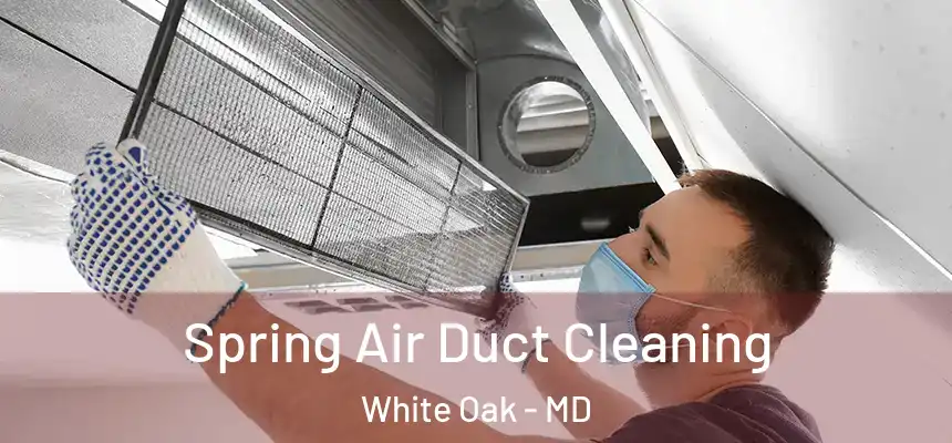  Spring Air Duct Cleaning White Oak - MD