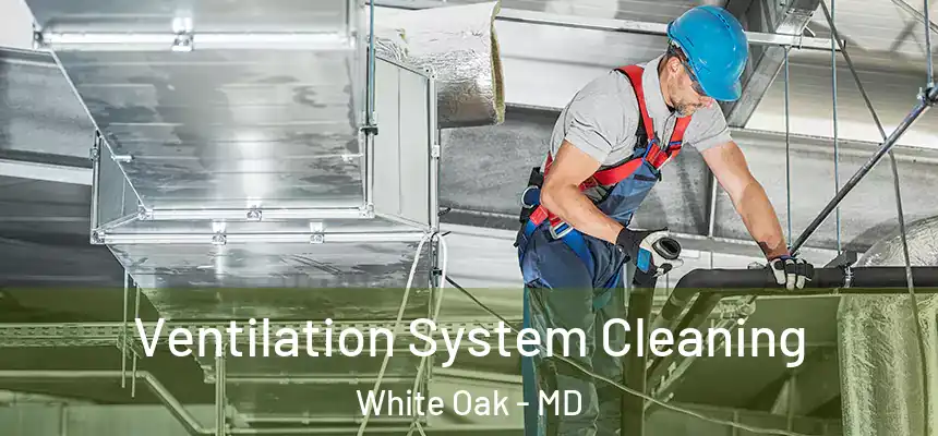  Ventilation System Cleaning White Oak - MD